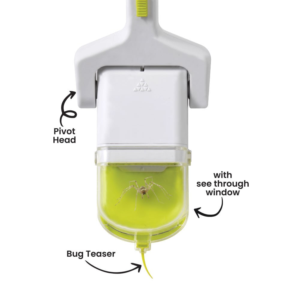 Bug Catcher